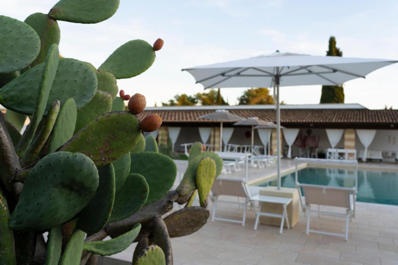 Masseria Tenuta Flora Maria レヴェラーノ エクステリア 写真
