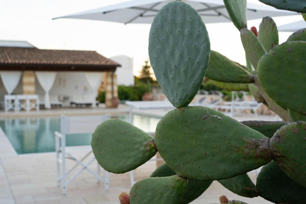 Masseria Tenuta Flora Maria レヴェラーノ エクステリア 写真