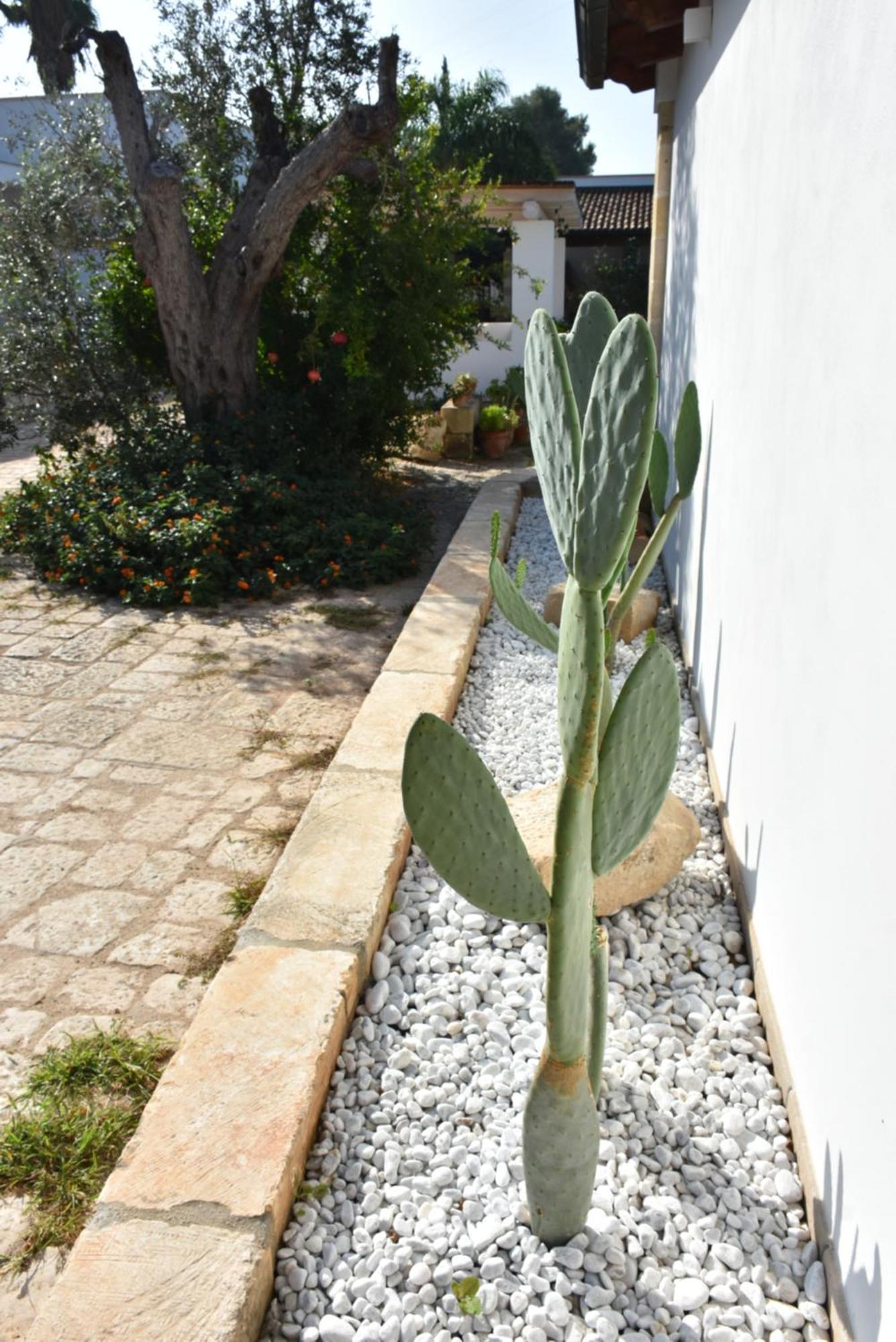 Masseria Tenuta Flora Maria レヴェラーノ エクステリア 写真